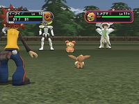 une photo d'Ã©cran de Pokemon XD sur Nintendo Gamecube